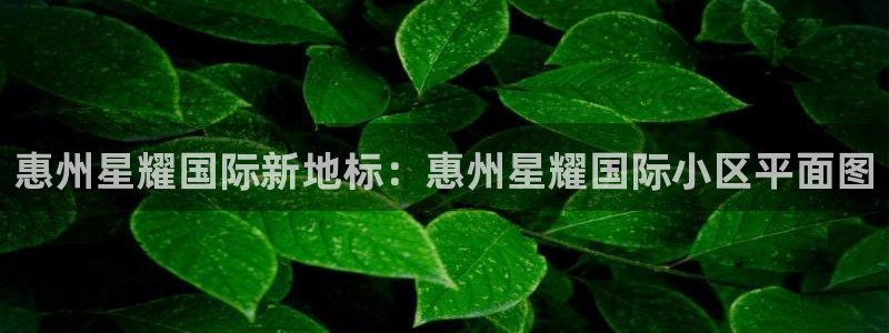 凯发k8真实：惠州星耀国际新地标：惠州星耀国际小区平面图