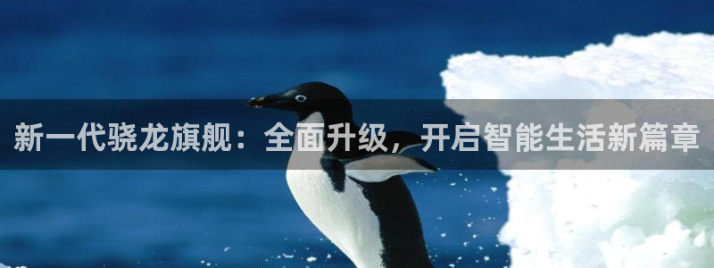 k8凯发版官网：新一代骁龙旗舰：全面升级，开启智能生活新篇章