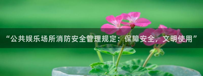 凯发k8娱乐正规吗：“公共娱乐场所消防安全管理规定：保障安全，文明使用”
