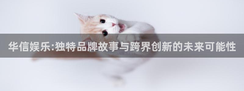 天生赢家,k8凯发：华信娱乐:独特品牌故事与跨界创新的未来可能性
