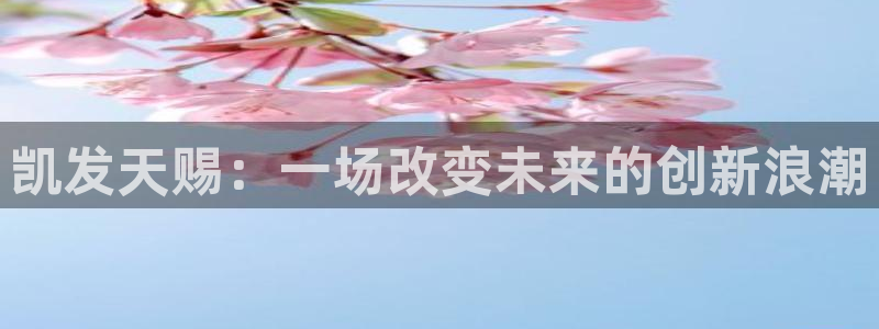 凯发k8