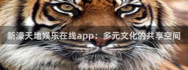 凯发k8旗舰厅app下载