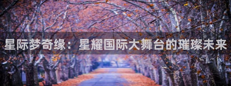 k8凯发官网入口：星际梦奇缘：星耀国际大舞台的璀璨未来