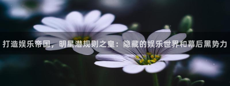 k8凯发：打造娱乐帝国，明星潜规则之皇：隐藏的娱乐世界和幕后黑势力