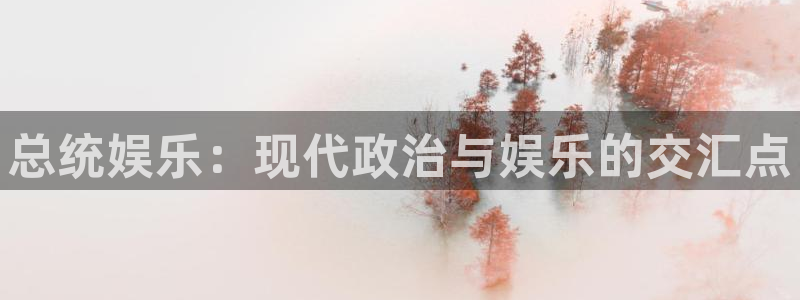 k8凯发首页登录：总统娱乐：现代政治与娱乐的交汇点