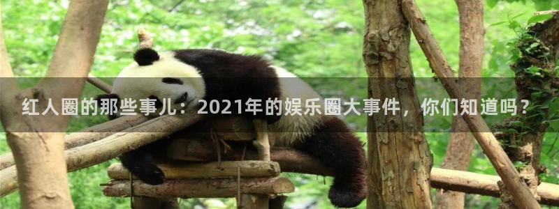 凯发k8天生赢家一触即发：红人圈的那些事儿：2021年的娱乐圈大事件，你们知道吗？
