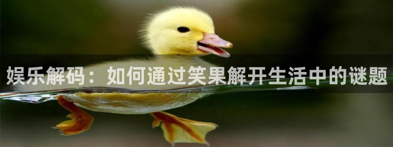 k8凯发·国际官方：娱乐解码：如何通过笑果解开生活中的谜题