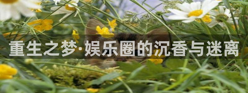 k8凯发集团：重生之梦·娱乐圈的沉香与迷离