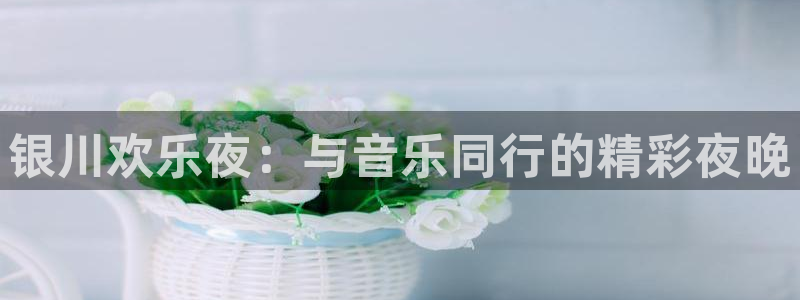 k8凯发(中国)天生赢家是哪里开的：银川欢乐夜：与音乐同行的精彩夜晚