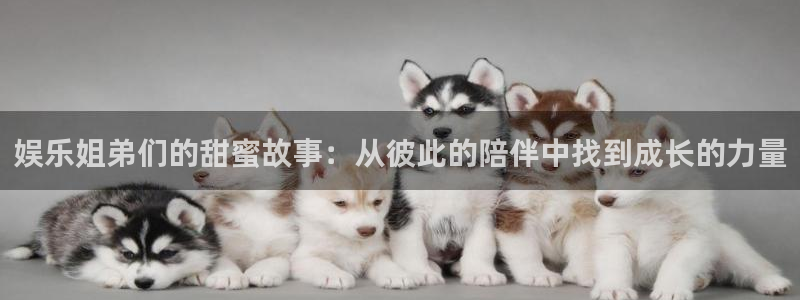 k8凯发旗舰：娱乐姐弟们的甜蜜故事：从彼此的陪伴中找到成长的力量