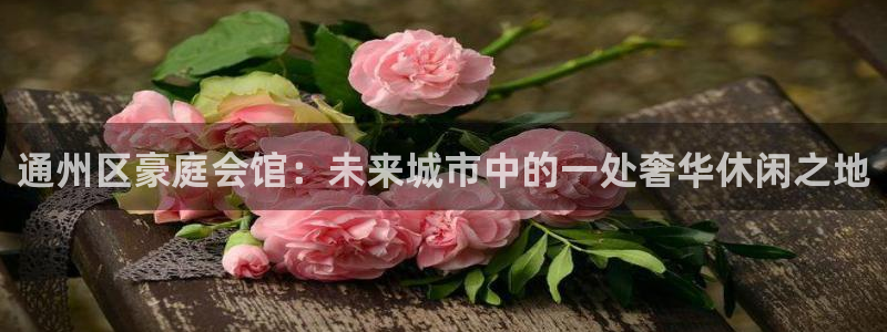 凯发k8娱乐登录：通州区豪庭会馆：未来城市中的一处奢华休闲之地