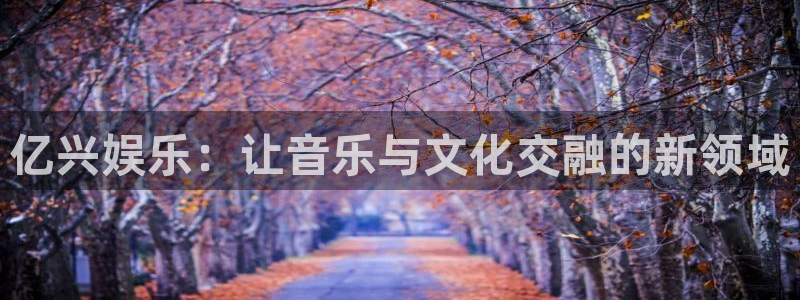 凯发k8旗舰厅：亿兴娱乐：让音乐与文化交融的新领域