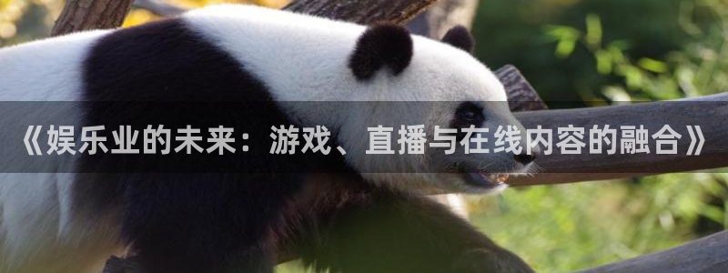 k8凯发·中国官网入口：《娱乐业的未来：游戏、直播与在线内容的融合》