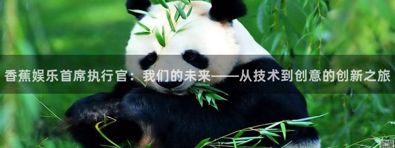 凯发k8国际官网：香蕉娱乐首席执行官：我们的未来——从技术到创意的创新之旅
